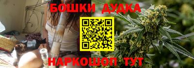 крисы Кингисепп