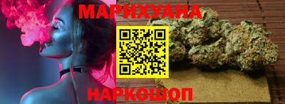 крисы Кингисепп