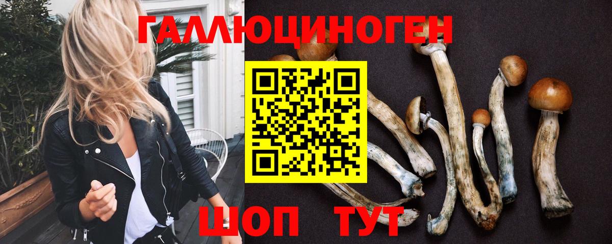 Псилоцибиновые грибы мицелий Лабинск